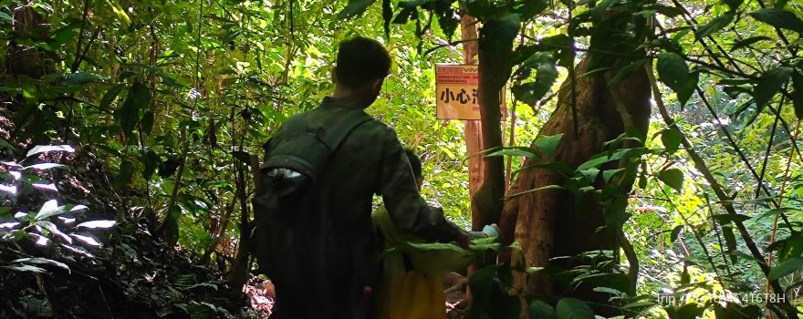 Xishuangbanna Naka Rainforest
