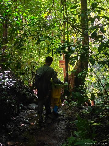 Xishuangbanna Naka Rainforest
