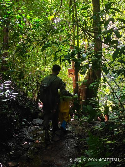 Xishuangbanna Naka Rainforest