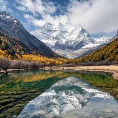 JUN WANG FU User Photo