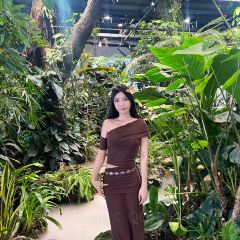 泰椰天香·江景六国料理 여행 사진