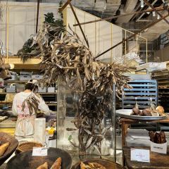 Dacomecca張用戶圖片