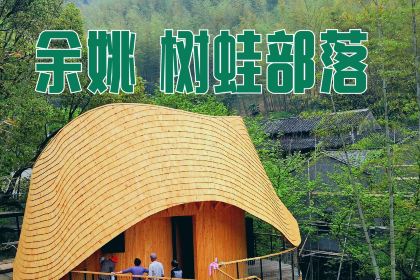 余姚树蛙部落中餐厅