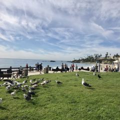 The Cliff Restaurant User Photo