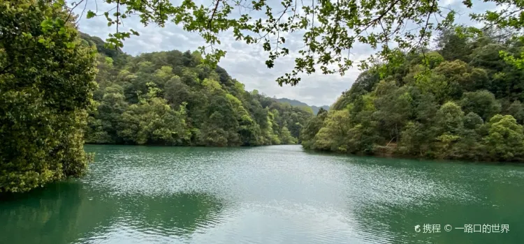 滬碟·小格里養心谷