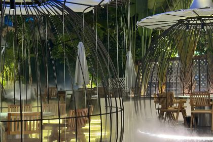 望天树雨林餐厅