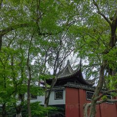 JIANGNAN Impression Chinese Restaurant User Photo