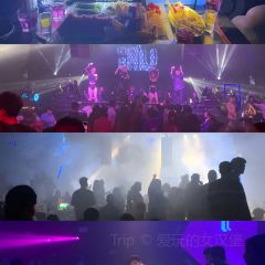 Panda Club User Photo