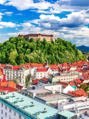 Bled Castle