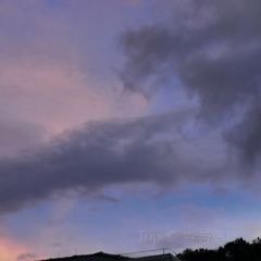 Orangutan Bunker User Photo