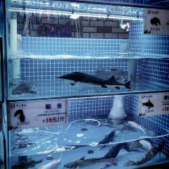 顺水鱼馆(碧桂园泰富城店) User Photo