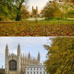 Jack's Gelato User Photo