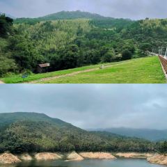 火根農家飯莊張用戶圖片