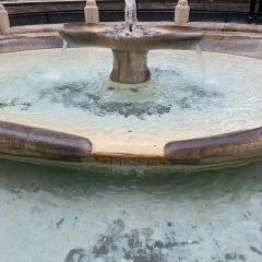 Costanza Hostaria User Photo