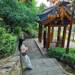 WEI ZHENG XIANG NONG GU CAI User Photo