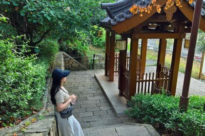 WEI ZHENG XIANG NONG GU CAI