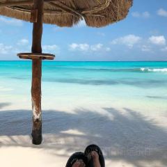 Le Basilic - Grand Fiesta Americana Coral Beach ảnh của người dùng