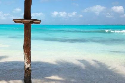 Le Basilic - Grand Fiesta Americana Coral Beach