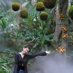 南宁鑫伟万豪酒店·中餐厅 User Photo