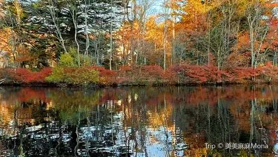 Takaosan Natural Park