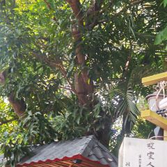 晓雯人家 User Photo