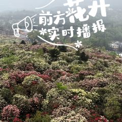 烙锅小院 User Photo
