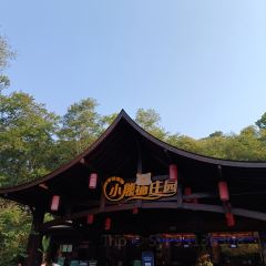 普洱小熊猫庄园·天碧餐厅 User Photo