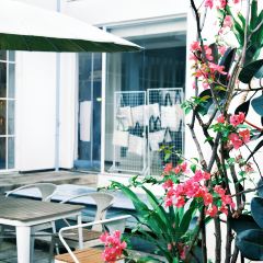 Qilinshuju User Photo