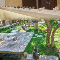 Cat's Home Fish Restaurant・Reservoir Fish Theme Restaurant (Yunshui Huaxi Branch) User Photo