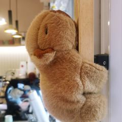 福留咖啡(荷塘路店) User Photo