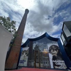 SOMEWHERE kitchen User Photo