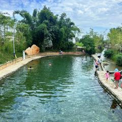 云里小坐·海泉湾·团建·聚会·下午茶(金堂海泉湾店) User Photo