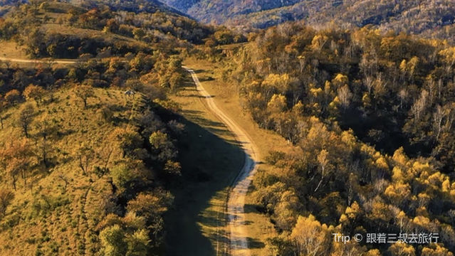 qin zhi dao jing dian