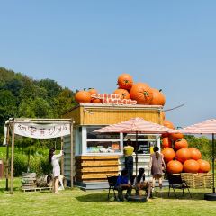 枇杷熟了coffee User Photo