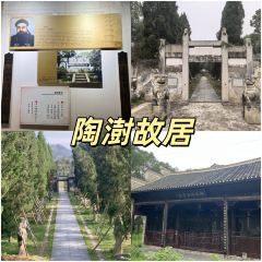 SHANGXILEICHA User Photo