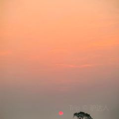 张记逍遥胡辣汤(大坑沿街店) User Photo