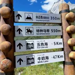 Hot pot of Tibetan User Photo