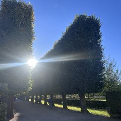ICEBAR Stockholm by ICEHOTEL User Photo
