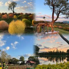 XIONG DILIA User Photo