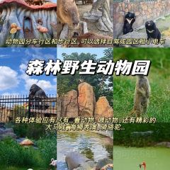 XIONG DILIA User Photo