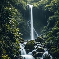 但家香酥鴨(花果園購物中心店)張用戶圖片