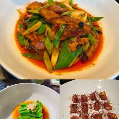 Camellia & Seasons User Photo