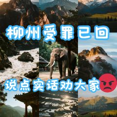 Weiweimushugeng User Photo