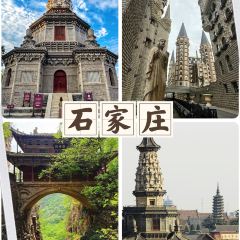 Bar Lotus User Photo