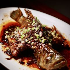 102 House User Photo