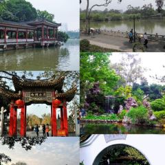 聚春園(南后街店)張用戶圖片