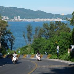 NANAODAO PUNCH IN JUICE ICE COMPANY User Photo