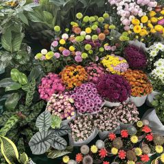 抚仙湖·自在汐岸咖啡餐吧 User Photo