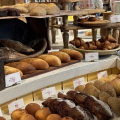 Dacomecca張用戶圖片