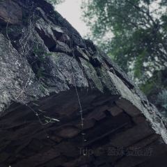 安夏食舍張用戶圖片